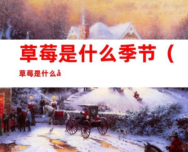 草莓是什么季节(草莓是什么季节上市)