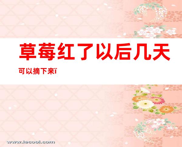 草莓红了以后几天可以摘下来(草莓红了什么时候可以摘)