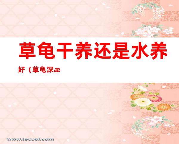 草龟干养还是水养好（草龟深水养还是浅水养比较好）