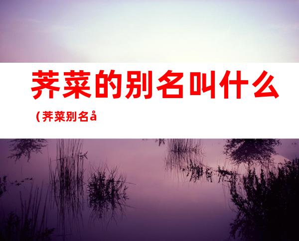 荠菜的别名叫什么(荠菜别名叫啥)