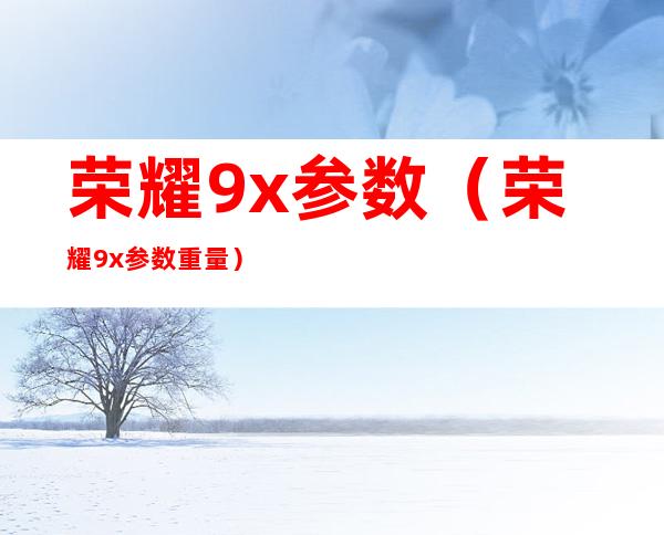 荣耀9x参数(荣耀9x参数重量)