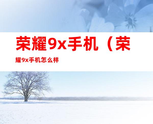 荣耀9x手机(荣耀9x手机怎么样值得买吗)