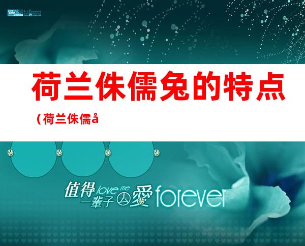 荷兰侏儒兔的特点(荷兰侏儒兔介绍)