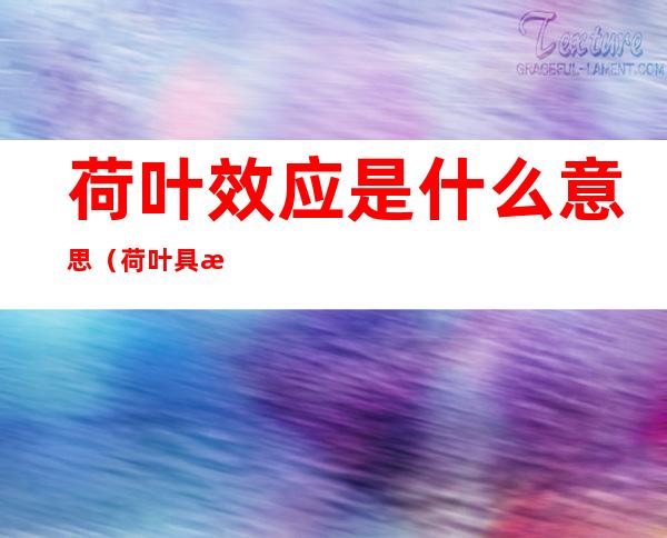 荷叶效应是什么意思(荷叶具有荷叶效应的原因)