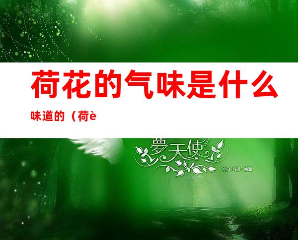 荷花的气味是什么味道的(荷花的气味是什么味道的英文)