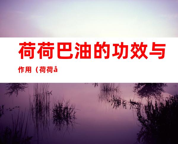 荷荷巴油的功效与作用(荷荷巴油的功效与作用点)