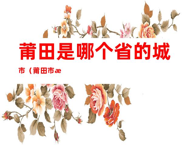 莆田是哪个省的城市(莆田市是什么城市)