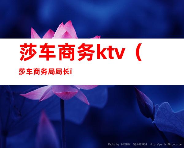 莎车商务ktv（莎车商务局局长）