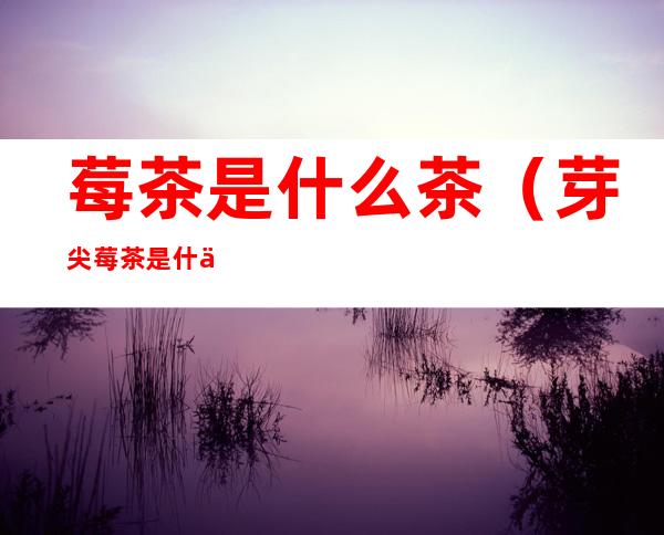 莓茶是什么茶（芽尖莓茶是什么茶）