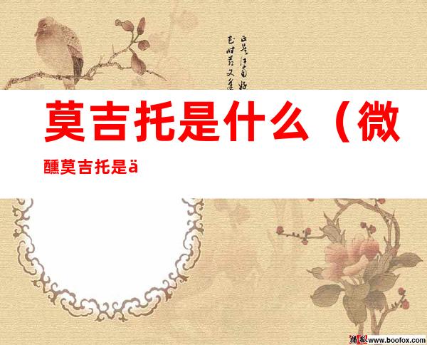 莫吉托是什么(微醺莫吉托是什么)