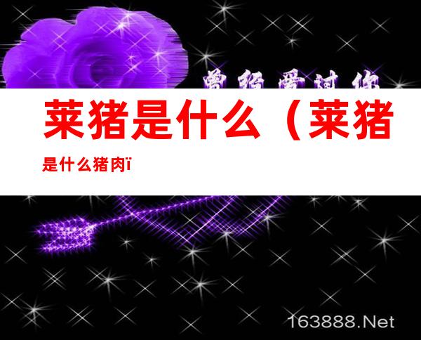 莱猪是什么(莱猪是什么猪肉)