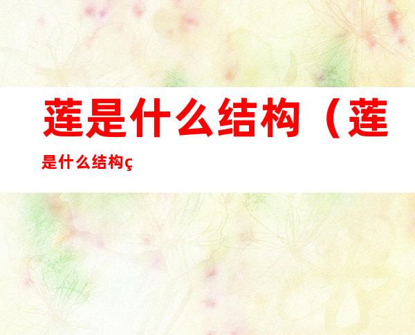 莲是什么结构(莲是什么结构的字)