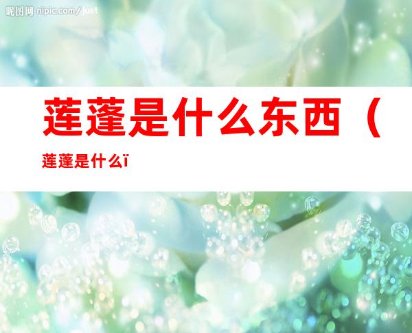 莲蓬是什么东西(莲蓬是什么)