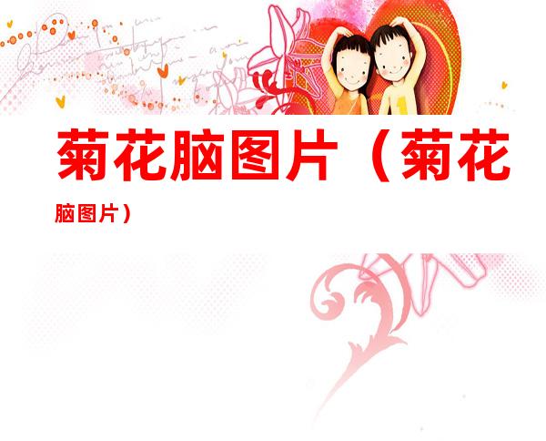 菊花脑图片(菊花脑 图片)