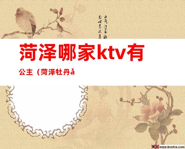 菏泽哪家ktv有公主(菏泽牡丹区ktv)