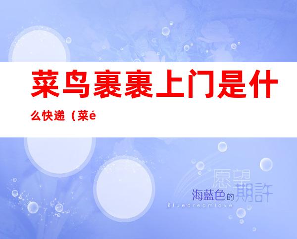 菜鸟裹裹上门是什么快递（菜鸟裹裹上门是什么快递啊）