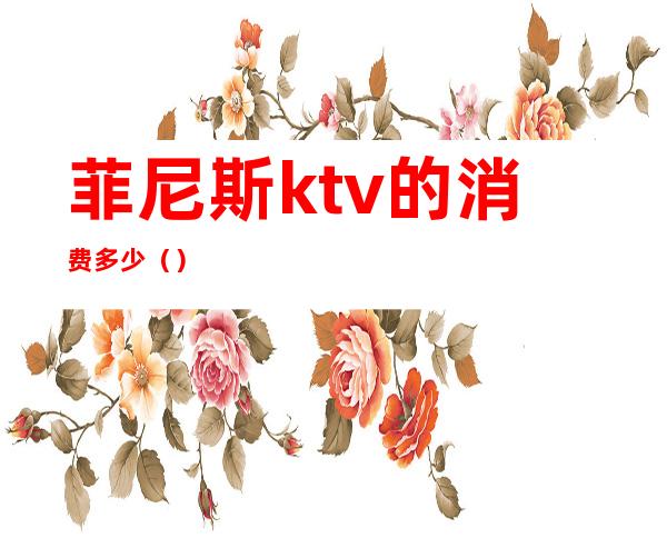 菲尼斯ktv的消费多少（）