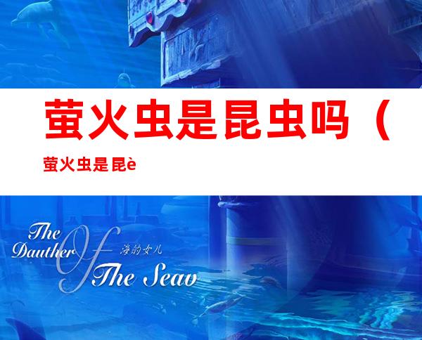 萤火虫是昆虫吗(萤火虫是昆虫吗,为什么)