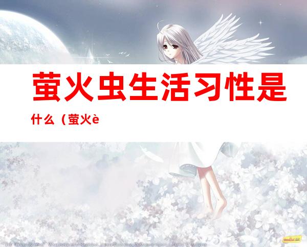 萤火虫生活习性是什么（萤火虫的生活特性）