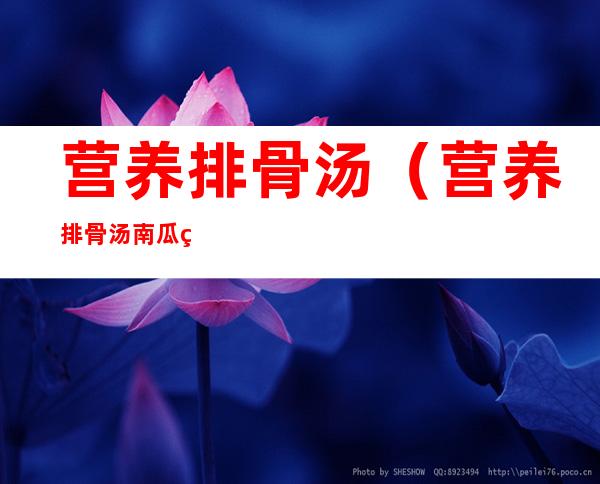 营养排骨汤(营养排骨汤南瓜炖排骨)