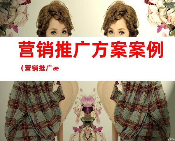 营销推广方案案例（营销推广成功案例）