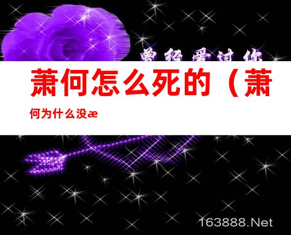 萧何怎么死的(萧何为什么没死)
