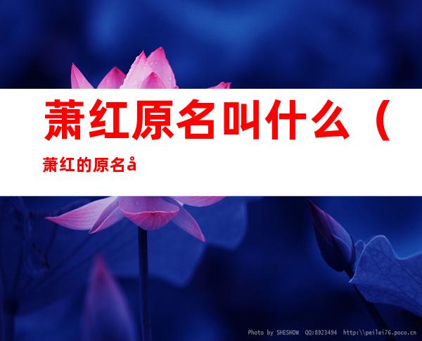 萧红原名叫什么(萧红的原名叫什么)