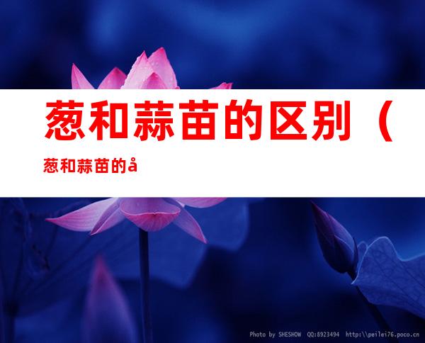 葱和蒜苗的区别(葱和蒜苗的区别在哪里)