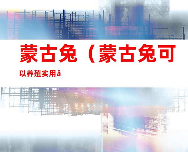 蒙古兔(蒙古兔可以养殖实用吗)