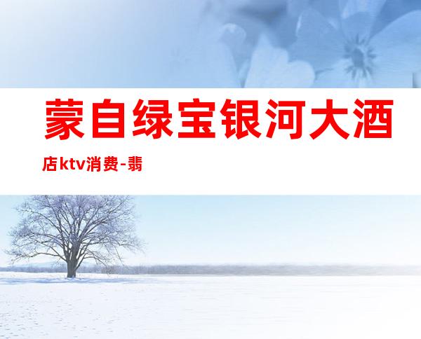蒙自绿宝银河大酒店ktv消费-翡翠明珠KTV价格贵不贵