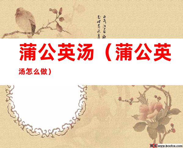 蒲公英汤(蒲公英汤怎么做)