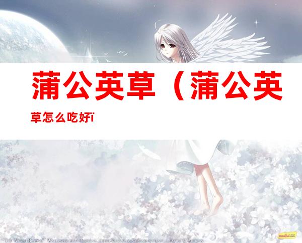 蒲公英草(蒲公英草怎么吃好)