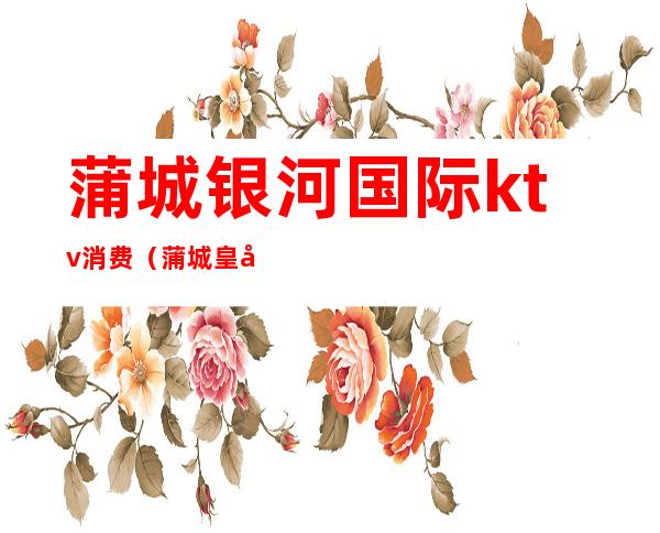 蒲城银河国际ktv消费(蒲城皇宫国际KTV)