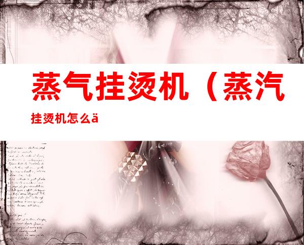 蒸气挂烫机(蒸汽挂烫机怎么使用)