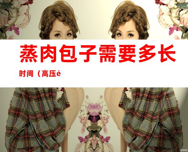 蒸肉包子需要多长时间（高压锅蒸肉包子需要多长时间）