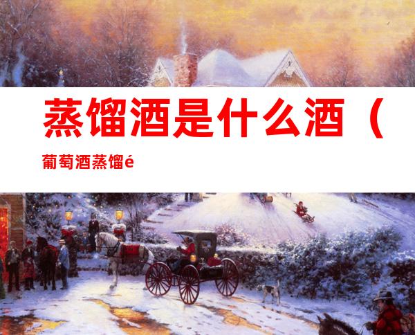 蒸馏酒是什么酒(葡萄酒蒸馏酒是什么酒)