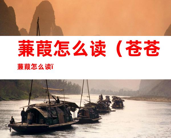 蒹葭怎么读(苍苍蒹葭怎么读)