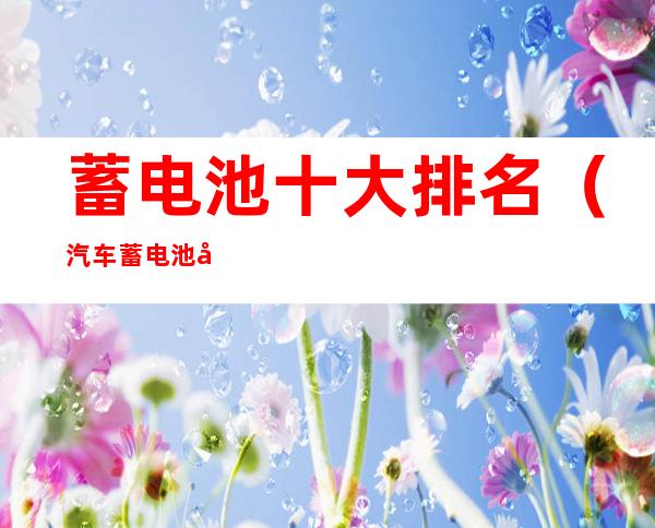 蓄电池十大排名（汽车蓄电池十大排名）