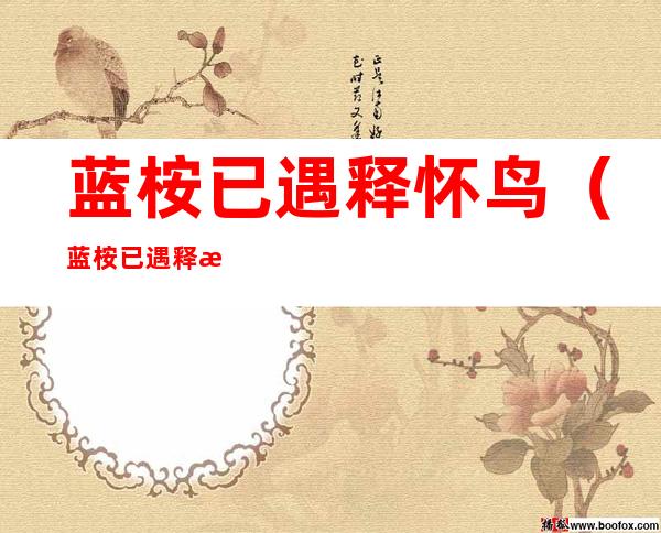 蓝桉已遇释怀鸟(蓝桉已遇释槐鸟,不爱万物唯爱你出自)