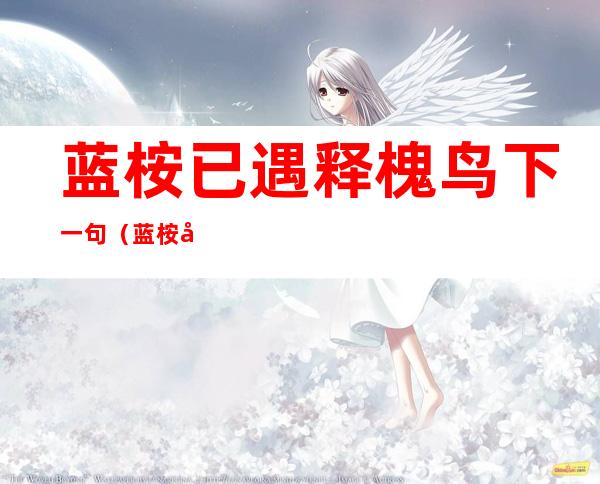蓝桉已遇释槐鸟下一句(蓝桉已遇释槐鸟下一句不好)