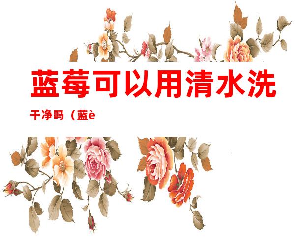 蓝莓可以用清水洗干净吗(蓝莓能用水洗吗)