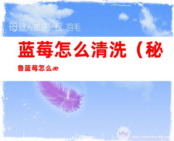 蓝莓怎么清洗(秘鲁蓝莓怎么清洗)