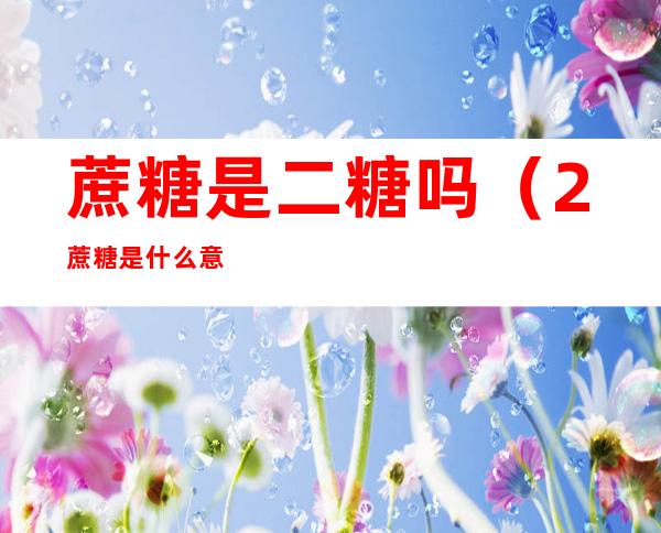 蔗糖是二糖吗(2%蔗糖是什么意思)