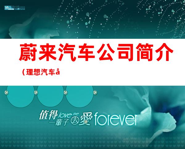 蔚来汽车公司简介(理想汽车公司简介)
