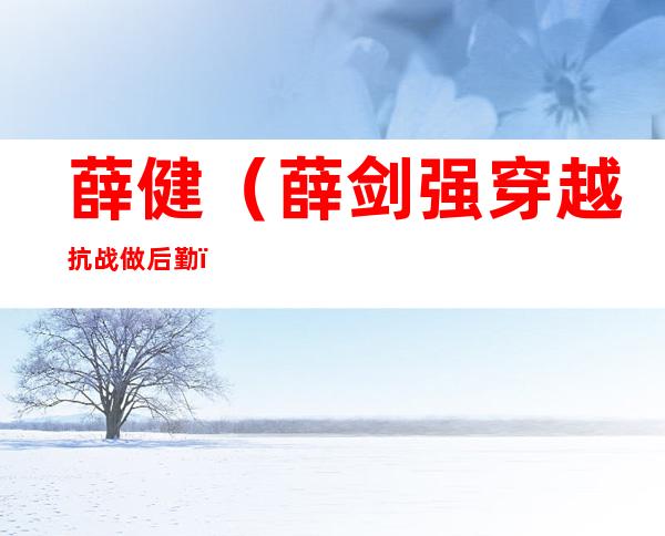 薛健（薛剑强穿越抗战做后勤）