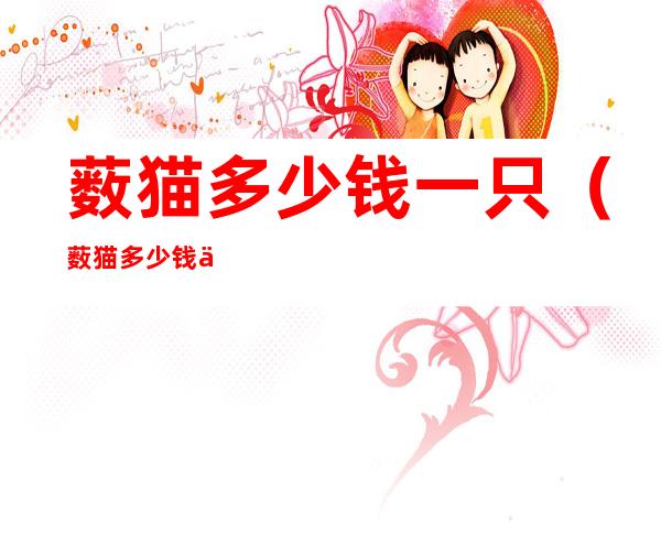 薮猫多少钱一只(薮猫多少钱一只薮猫在哪里可以买)