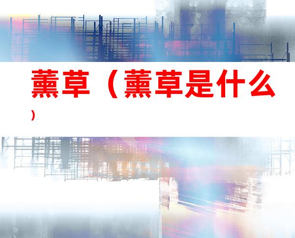 薰草(薰草是什么)