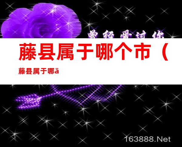 藤县属于哪个市(藤县属于哪个市?)