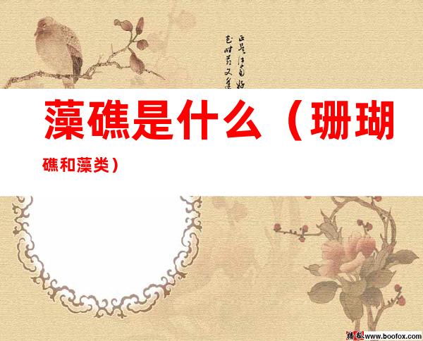 藻礁是什么（珊瑚礁和藻类）