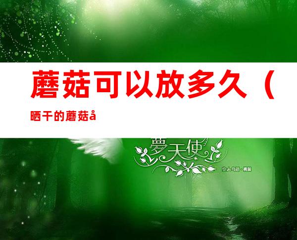 蘑菇可以放多久(晒干的蘑菇可以放多久)